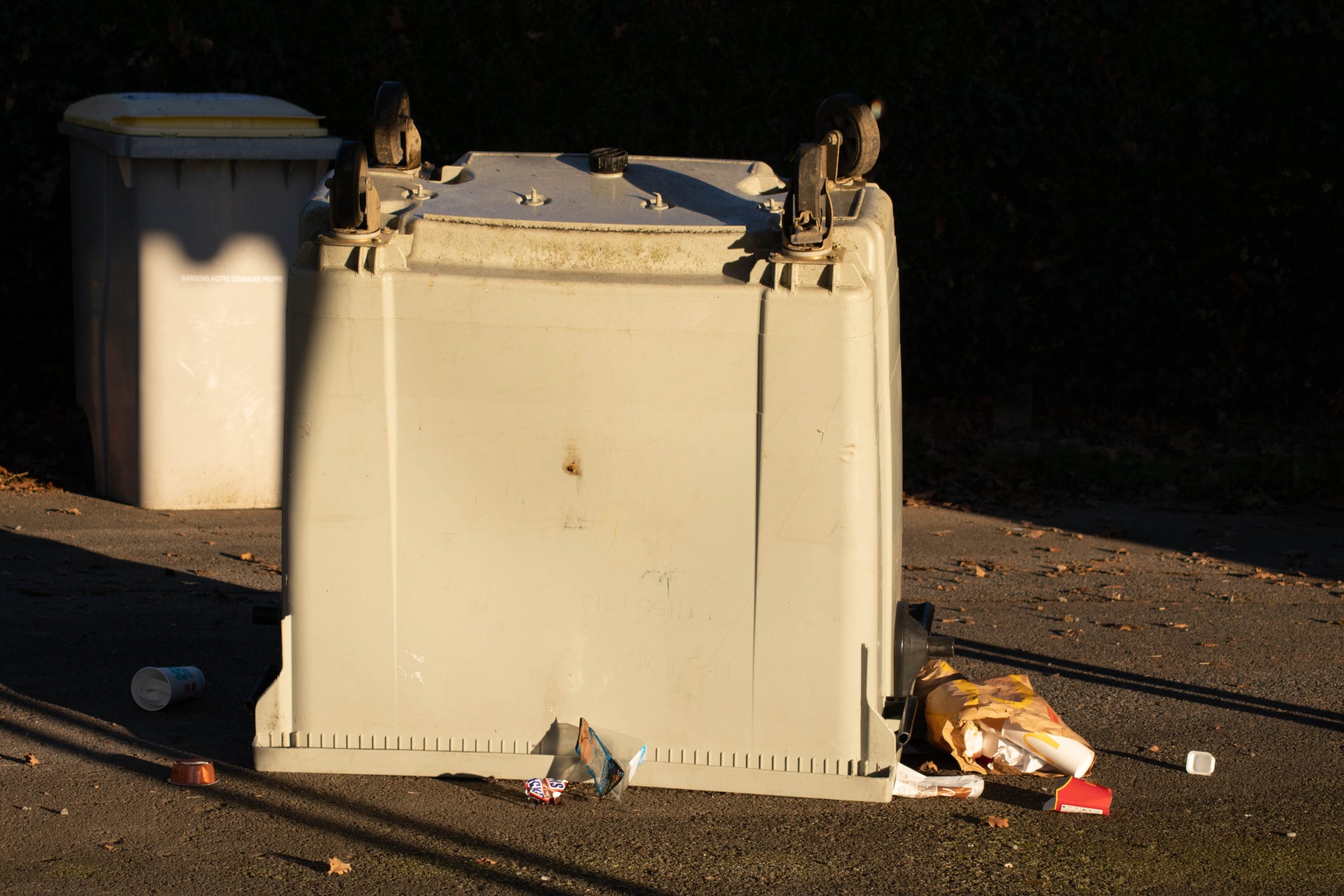 Poubelle renversée _ Déchets _ Ozoir-la-Ferrière - Développement durable