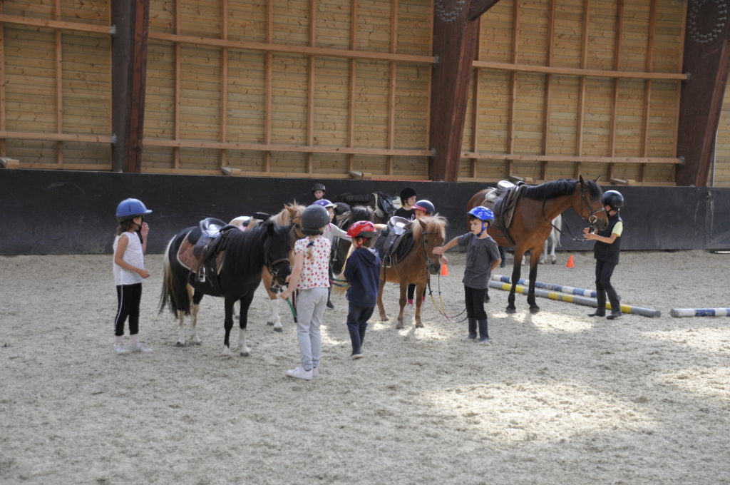 Stage poney _ Ozoir-la-Ferrière