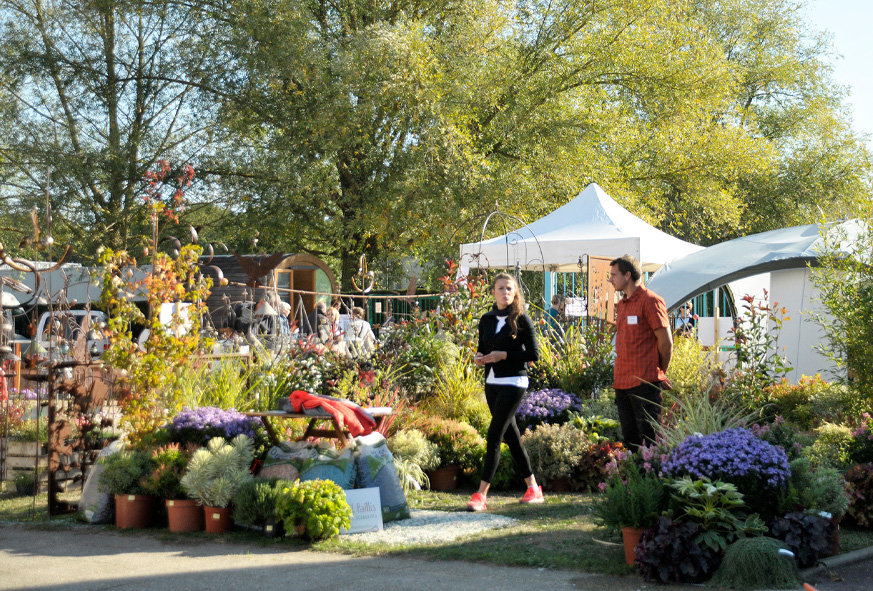 A vos jardins - Octobre 2021 à Ozoir-la-Ferrière - Bois Prieur