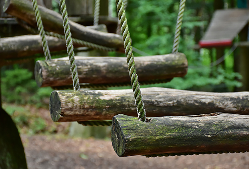 accrobranche