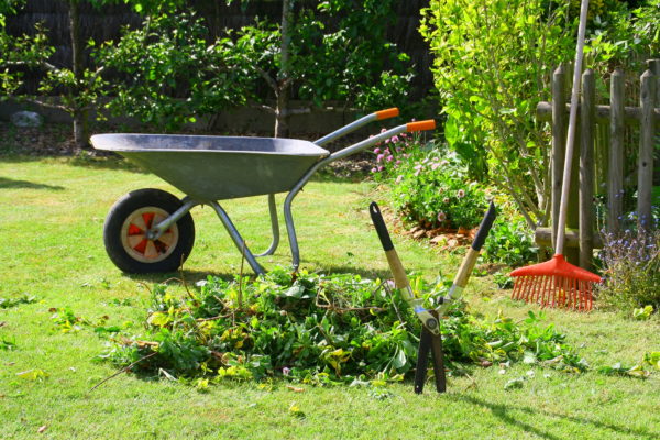 brouette de déchets verts dans le jardin