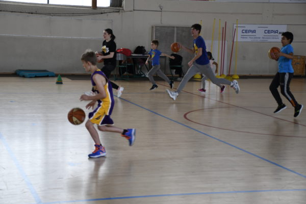 Stage basket (19)