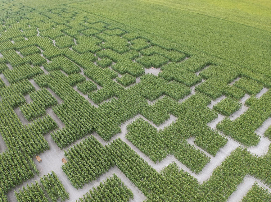 vue-aérienne-3-pop-corn-labyrinthe-web-min-scaled