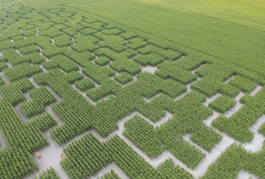 labyrinthe coupvray