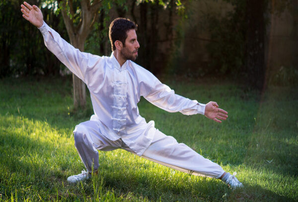 Tai chi chuan