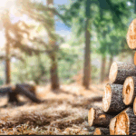Bois des Pins