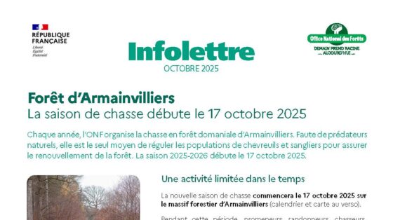 Forêt d’Armainvilliers : la saison de chasse 2025-2026 est ouverte