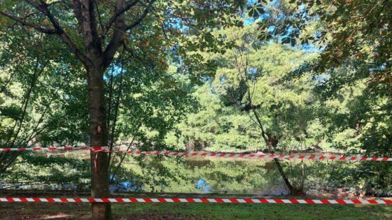 Pollution sur le ru de la Ménagerie : le point sur la situation