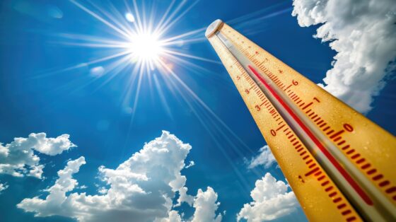 Canicule : la Ville d&rsquo;Ozoir-la-Ferrière déclenche son Plan communal de sauvegarde